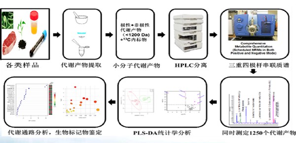 9 代谢组学_1(1).jpg