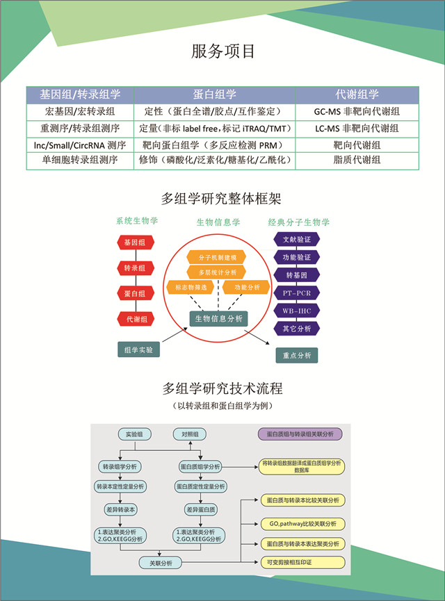 多组学研究-2.jpg