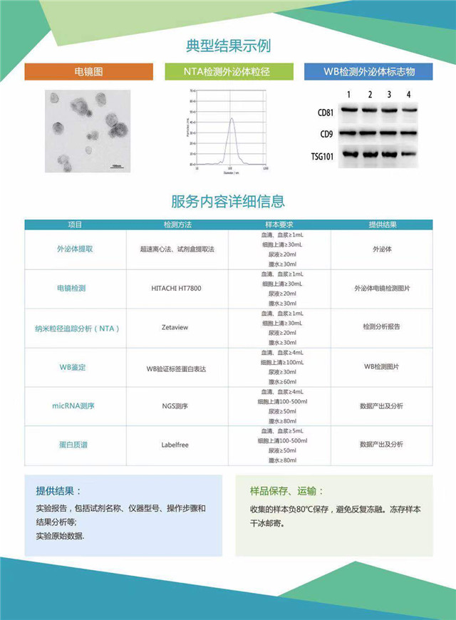 外泌体研究-2.jpg