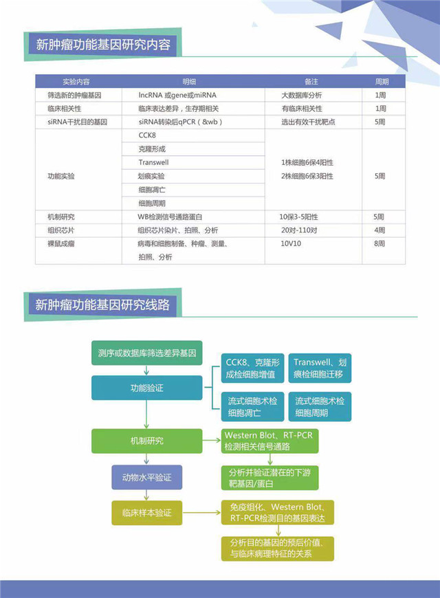 新肿瘤功能基因-2.jpg