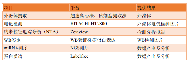 外泌体研究.png