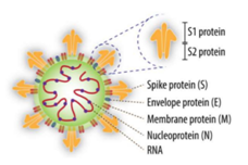 1590235849103353.png eb66eb862eb708b230895f4f3ce52447.png