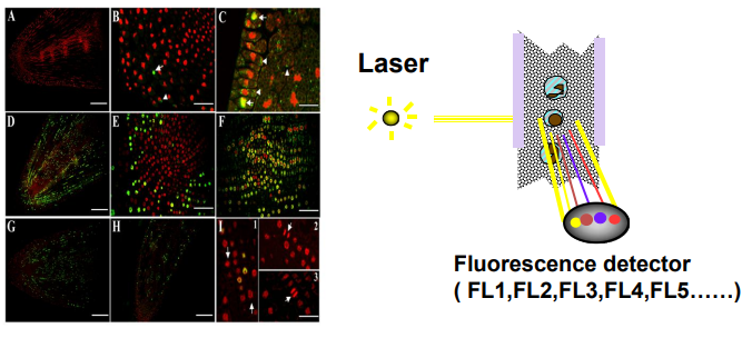 1755067239134302.png 4.png