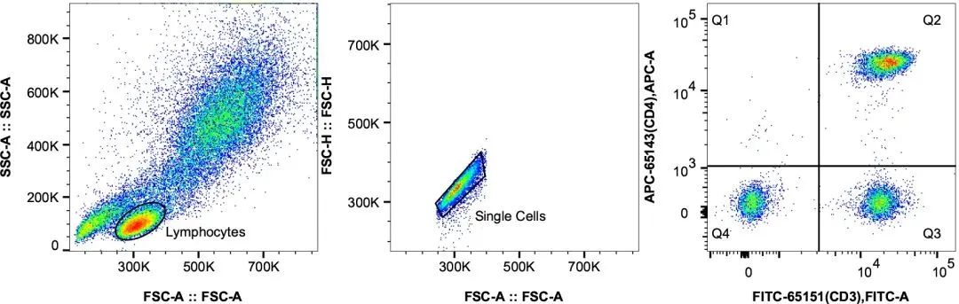 1755067256130351.jpg 6.jpg