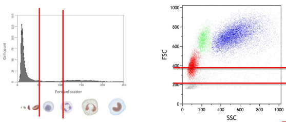 1755067281108246.png 8.png