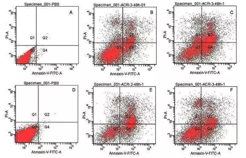 1755068003832234.png 15.png